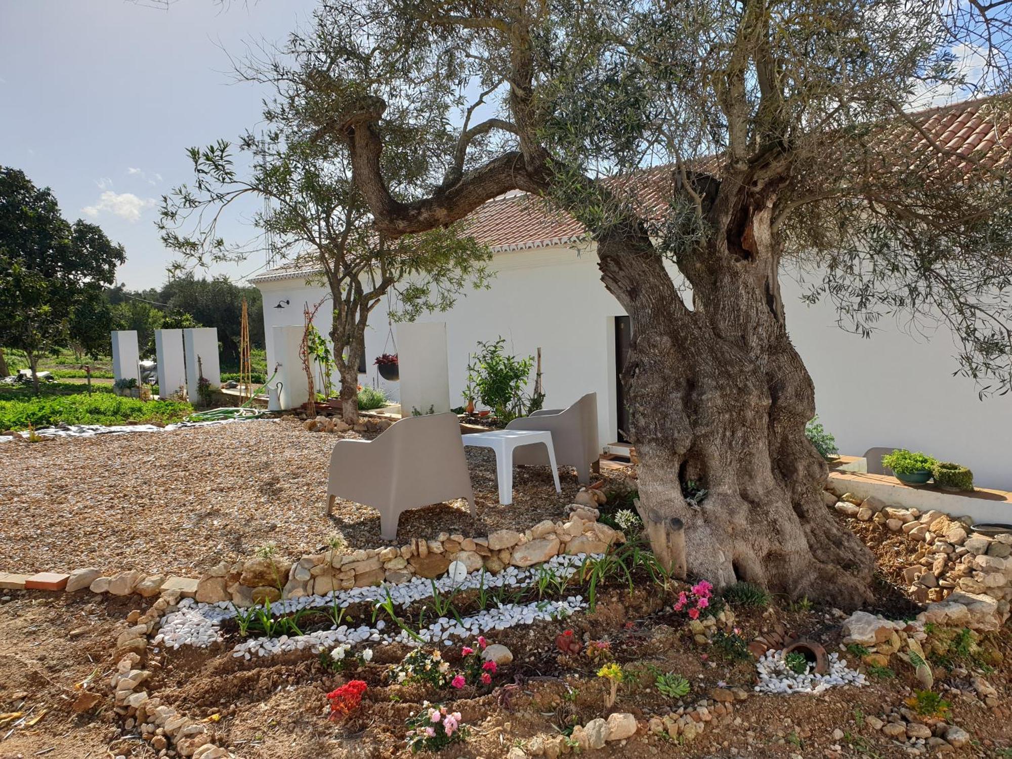 Monte Das Acoteias - Agroturismo Tavira Exterior photo
